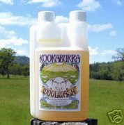 Kookaburra Wash